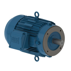 Motor 0,16 Cv Cdin 4 Pls  Ir3 220/380/440v Weg  15076796