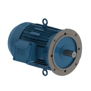 Motor 15 Cv Ff 4 Pls  Ir3 220/380 Weg 11721606